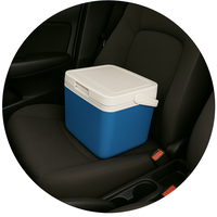 Car Coolers
