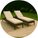 Sun Loungers