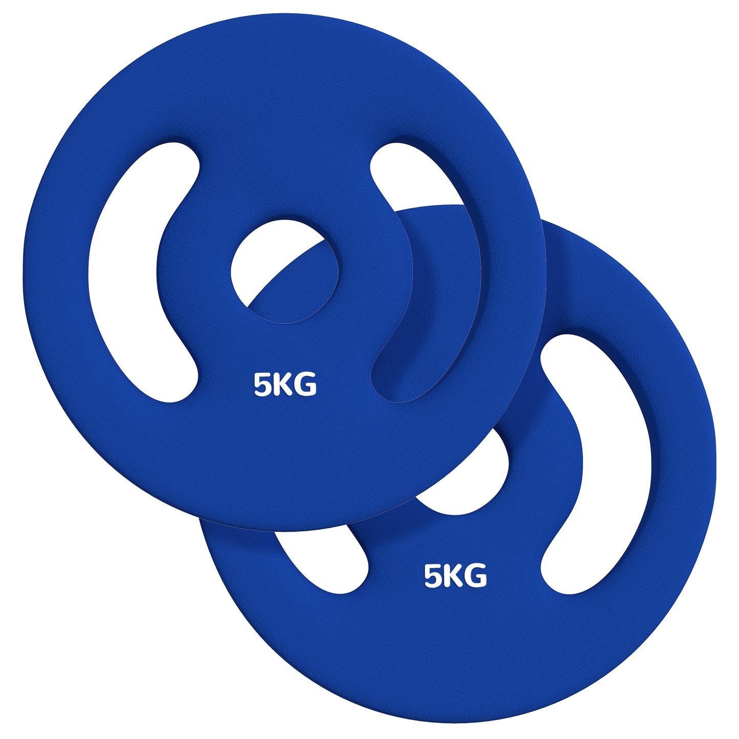 Soozier 2 x 6.6lbs Standard Weight Plates with Easy-Grip Handles, 1" Holes, for Home, Gym, Weight Lifting and Strength Training