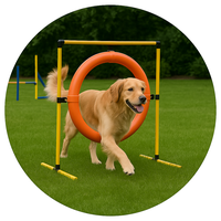Dog Agility Training Equipment