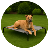 ElevatedÂ Dog Beds