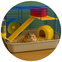 Hamster Cages