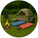 Camping Supplies