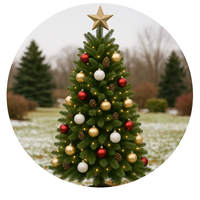 Christmas Trees