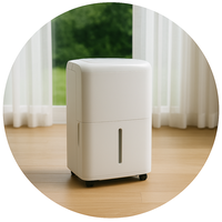 Home Dehumidifiers