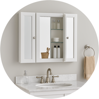 Mirror Medicine Cabinets