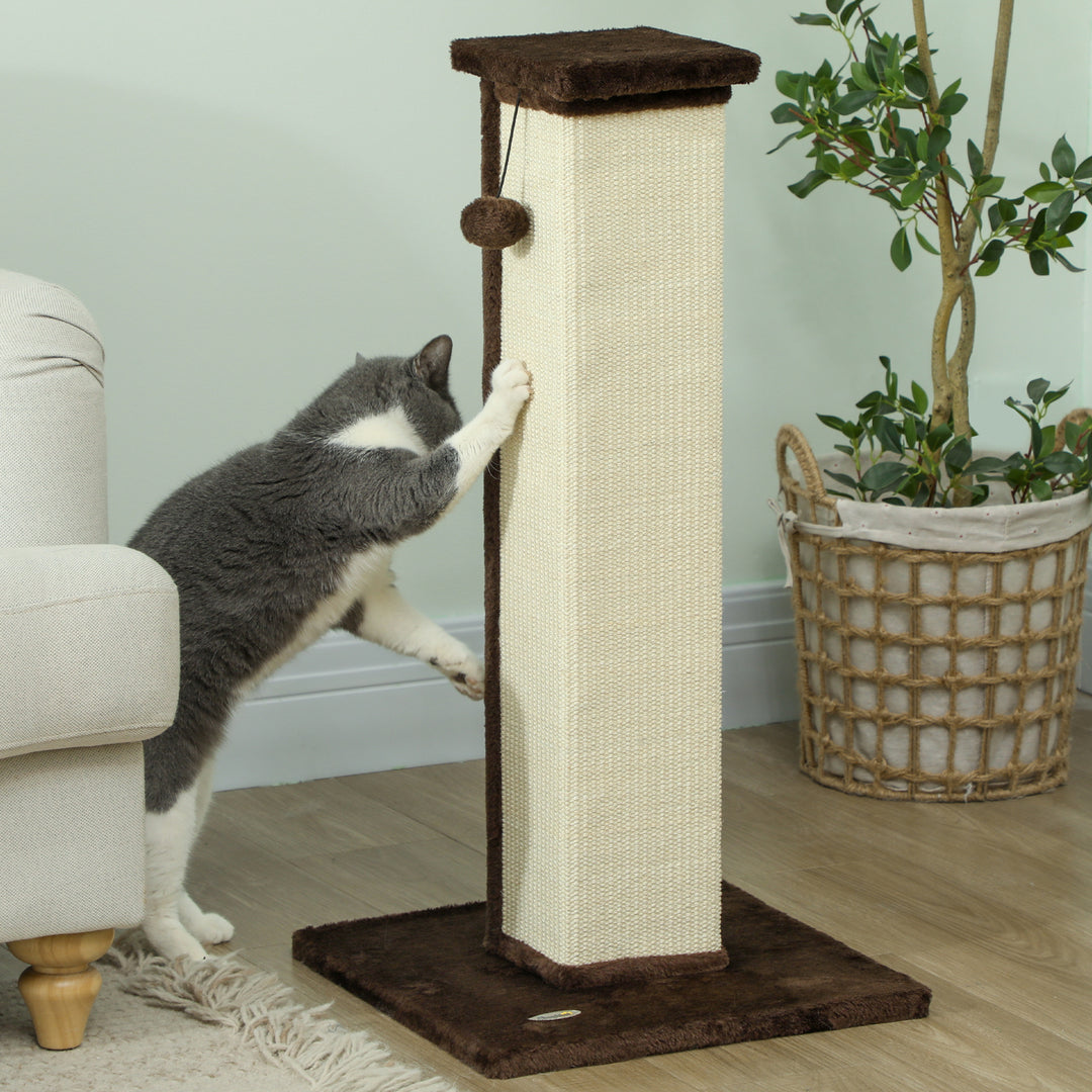 PawHut 32" Tall Cat Scratching Post for Indoor Cats and Kittens, Sisal Cat Scratcher with Hanging Ball Soft Plush, Grey