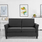 HOMCOM 2-Seat Sofa Two-Seater Couch with Armrests and Wood Legs for Living Room, Bedroom, Dark Grey