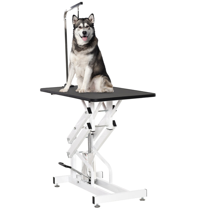 PawHut Pet Grooming Table, Height Adjustable Dog Grooming Table with Arm, Noose and Non-Slip Grooming Table, Black