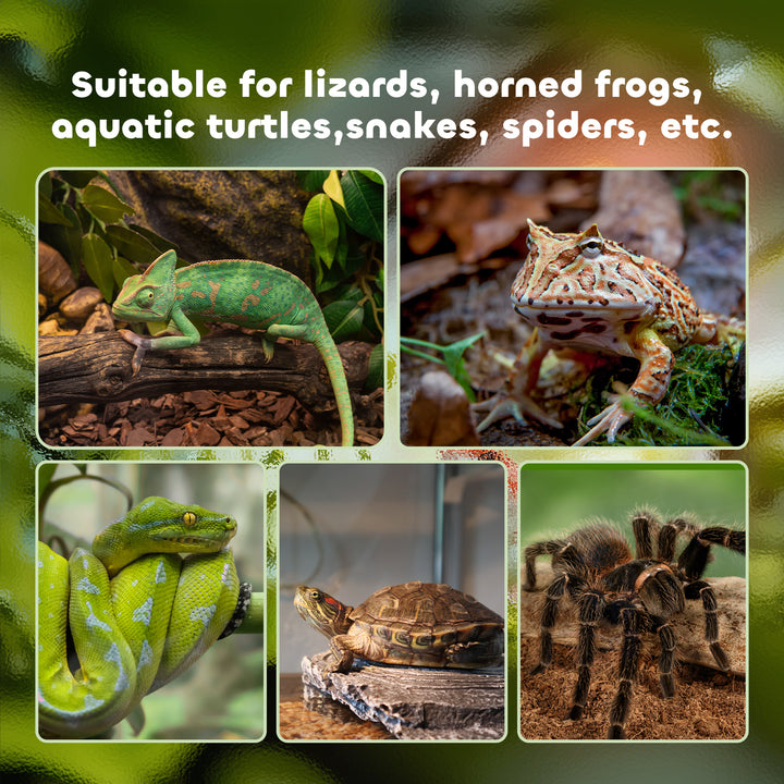 PawHut Glass Reptile Terrarium with Thermometer, Water Basin, Full View Visually for Lizards, Horned Frogs, Snakes, Spiders