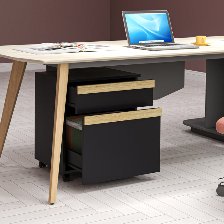 Vinsetto Mobile Filing Cabinet with 2 Drawers, Office Storage Cabinet with 5 Wheels, Black Wood Grain