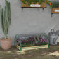 Outsunny 12 Pockets Raised Garden Bed with Greenhouse and Roll Up Windows for Vegetables, Flowers, 4' x 3' x 2', Natural Wood