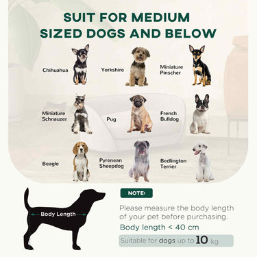 PawHut Pet Sofa Dog Couch for Small to Medium Sized Dogs with Soft Cushion, Removable Washable Cover, Velvet Touch, Grey