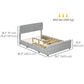 HOMCOM Full Bed Frame with Headboard, Double Bed Frame with 2 Drawers, No Box Spring Needed, Easy Assembly, Light Grey
