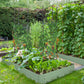 Outsunny 6' x 3' x 1' Raised Garden Bed with 2 Trellis Tomato Cages, Steel Frame Elevated Planter Box, Black