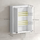 HOMCOM Bathroom Cabinet Wall Mounted, Modern Bathroom Wall Cabinet with 2 Doors and 2 Adjustable Shelves, White