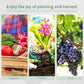 Outsunny 13' x 6.5' x 6.5' Steeple Walk-in Greenhouse Garden Plant Seed Grow Tent Polytennel with Windows and Door Green