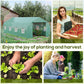 Outsunny 20x10x7ft Walk-in Steeple Greenhouse Outdoor Backyard Plant Seed Growth Tunnel Shed Warm House with 2 Anchor Way White