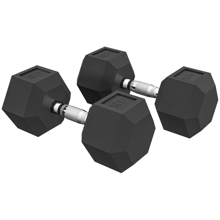 Soozier 2 x 45lbs Rubber Hex Dumbbells Weight Dumbbell Hand Weight Barbell for Body Fitness Training for Home Office Gym, Black