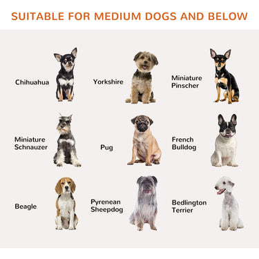 PawHut 31.5"H Foldable Dog Gate with Door, 3 Panels Freestanding Pet Gate Barriers Indoor with Support Feet, Puppy Fence for Small Medium Dogs, White