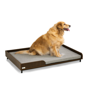 PawHut Elevated Dog Bed Frame, Furniture Style Pet Sofa, Modern Portable Cat Lounge, with Soft Cushion, Washable Cover, Steel Legs, for Large Dog, Brown