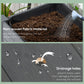 Outsunny Mobile Raised Garden Bed Elevated Wood Planter Box w/ Lockable Wheels, Storage Shelf  for Herbs Vegetables, Dark Grey