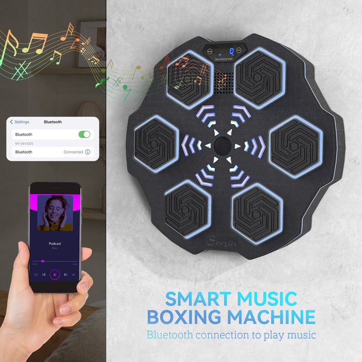 Soozier Music Boxing Machine for Adults, Wall Mounted Music Punching Machine with 9 Speeds & Modes, LED Lights
