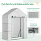 Outsunny 55" x 28" x 75" Walk-in Greenhouse Portable Garden Plant Flower Seed Warm House with 4 Shelves Outdoor Plant Growth Hot House PE Cover Green