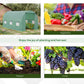 Outsunny 8'x6.6'x6.6' Heavy Duty Walk-in Greenhouse Garden Tunnel Hot House Outdoor Flower Vegetable Growth Warm House Roll Up Door, Windows, Steel