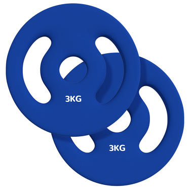 Soozier 2 x 6.6lbs Standard Weight Plates with Easy-Grip Handles, 1" Holes, for Home, Gym, Weight Lifting and Strength Training
