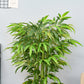 HOMCOM Set of 2 4.5FT Artificial Bamboo Tree Faux Decorative Plant in Nursery Pot for Indoor Outdoor DÃ©cor