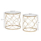 HOMCOM Set of 2 Nesting Table Coffee End Table Set Modern for Living room Furniture Decor Gold Tempered Glass