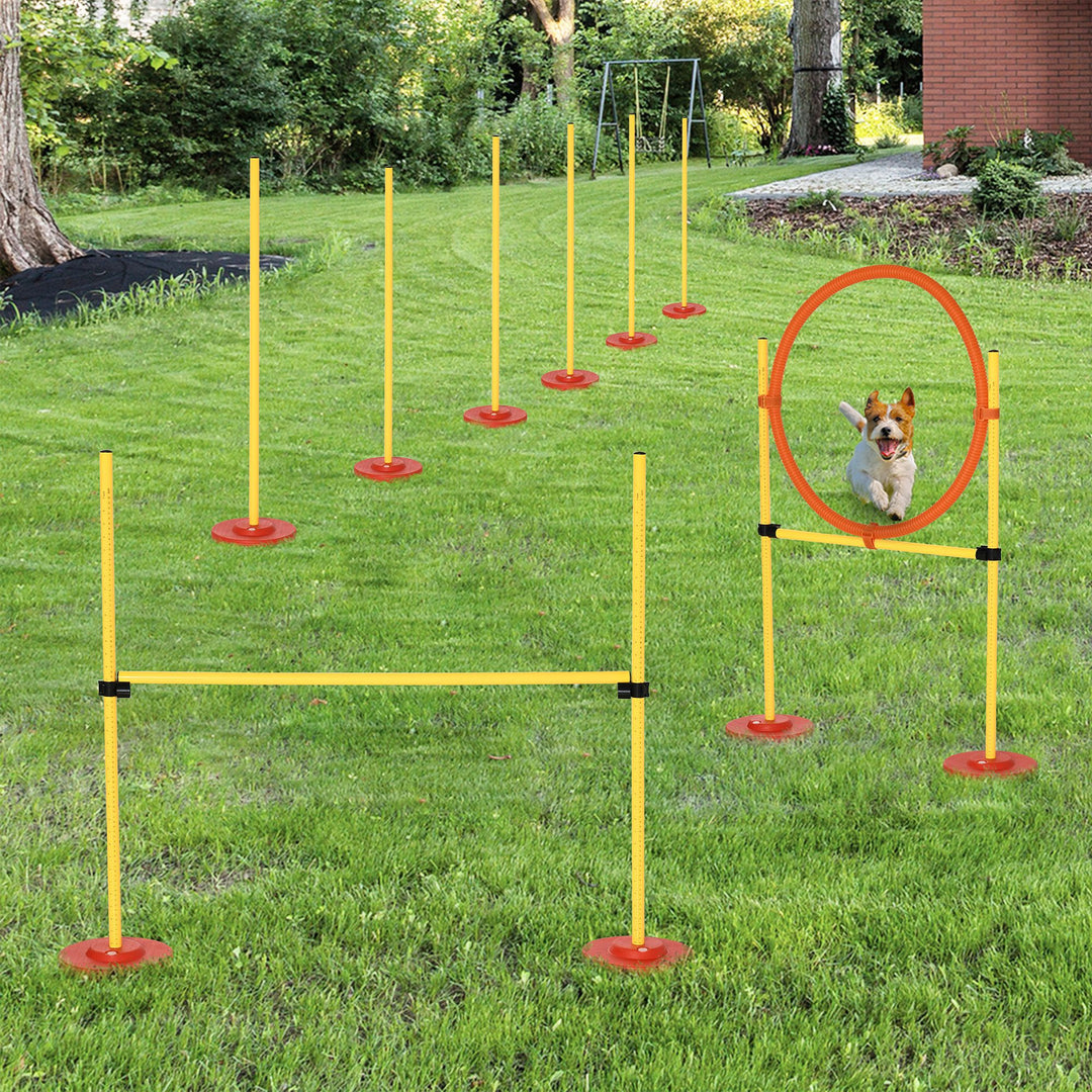 PawHut Adjustable Dog Agility Training Obstacle Set with Weaves Poles and Storage Bag for Pet Dogs Outdoor Games Exercise Blue and White