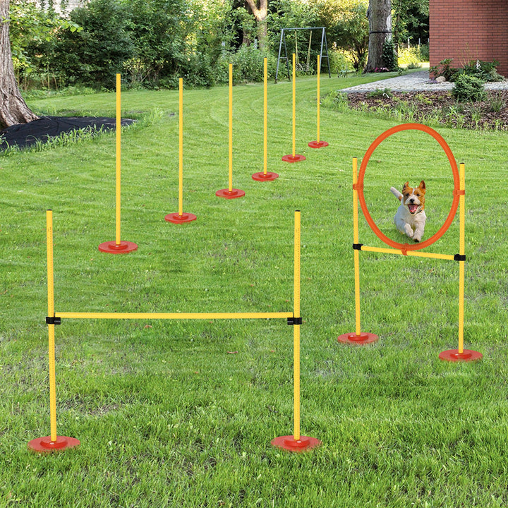 PawHut Adjustable Dog Agility Training Obstacle Set with Weaves Poles and Storage Bag for Pet Dogs Outdoor Games Exercise Blue and White