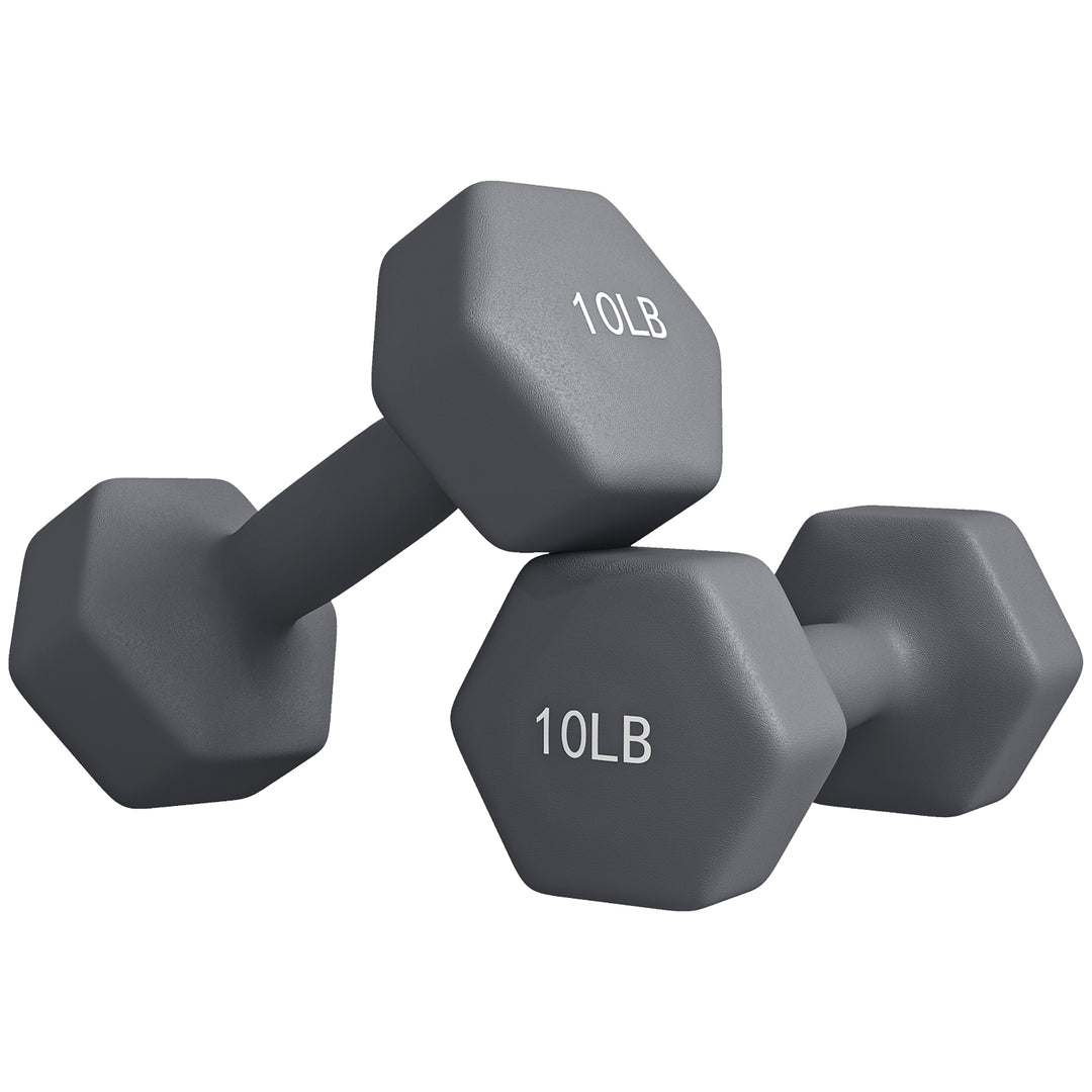 Soozier 2 x 10LBS Hexagonal Dumbbells, Set of 2 Weights with Non-Slip Grip for Home Gym Workout