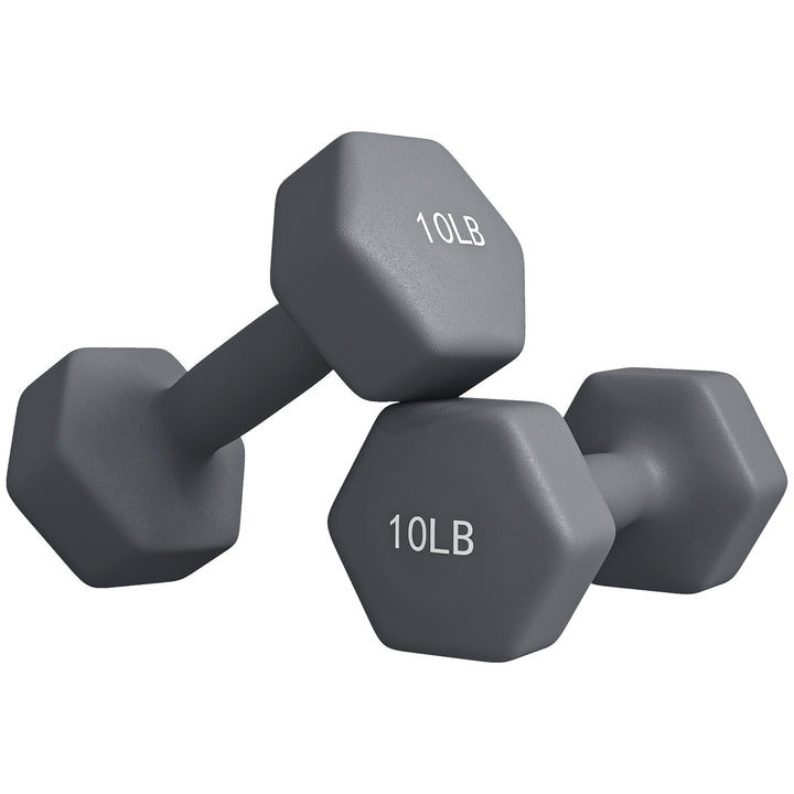 Soozier 2 x 10LBS Hexagonal Dumbbells, Set of 2 Weights with Non-Slip Grip for Home Gym Workout