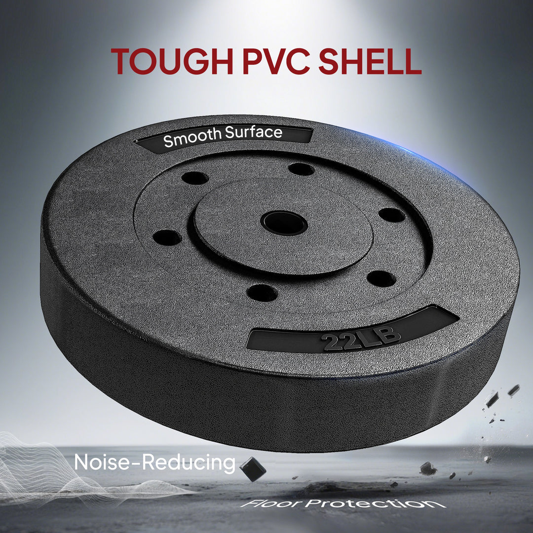 Soozier Weight Plates Set of 2, 1-Inch Barbell Weight Set for Home Gym Strength Training and Weightlifting, 2 x 22 lbs