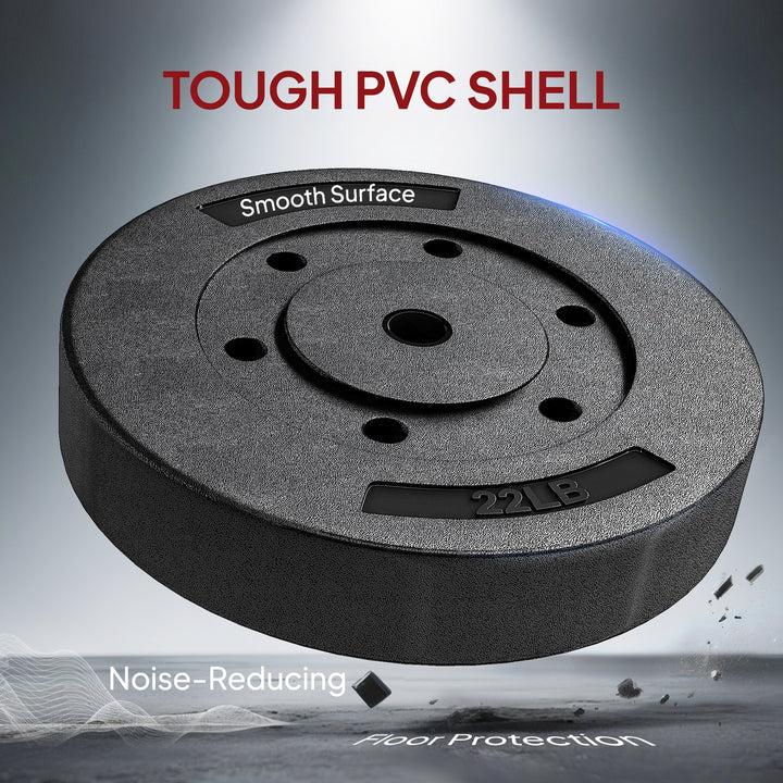 Soozier Weight Plates Set of 2, 1-Inch Barbell Weight Set for Home Gym Strength Training and Weightlifting, 2 x 22 lbs