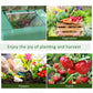 Outsunny 71" x 55" x 32" Mini Greenhouse Portable Hot House for Plants with 2 Large Windows and Ground Nails for Outdoor, Indoor, Garden, Gardening Kit, Green