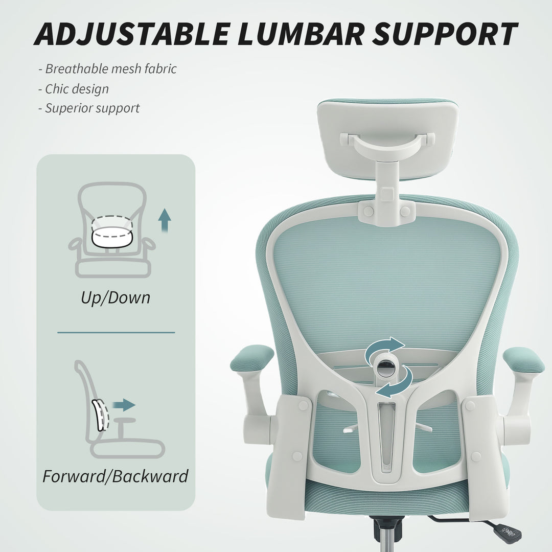 Vinsetto Office Chair, Mesh Computer Desk Chair with Adjustable Headrest, 4D Lumbar Support, Flip-up Arm, Grey