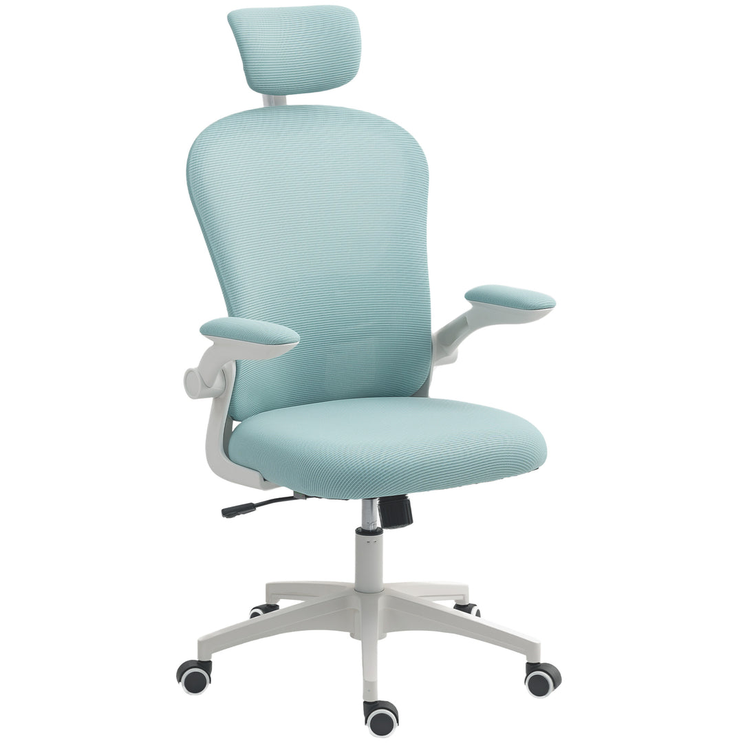 Vinsetto Office Chair, Mesh Computer Desk Chair with Adjustable Headrest, 4D Lumbar Support, Flip-up Arm, Grey