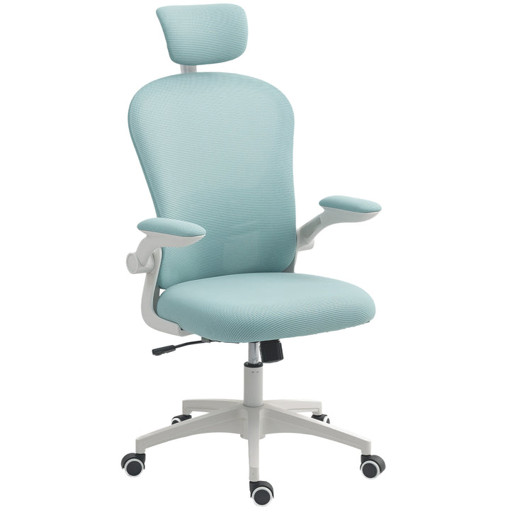 Vinsetto Office Chair, Mesh Computer Desk Chair with Adjustable Headrest, 4D Lumbar Support, Flip-up Arm, Grey