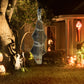 HOMCOM 72 Inch/6ft Life Size Outdoor Halloween Decoration Witch, Animated Prop Decor with Sound and Motion Activated, Light Up Eyes, Creepy Sound