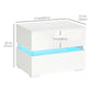 HOMCOM Modern Nightstand, Bedside Table with 2 Drawers, USB Powered RGB LED Lights, Remote for Bedroom, White