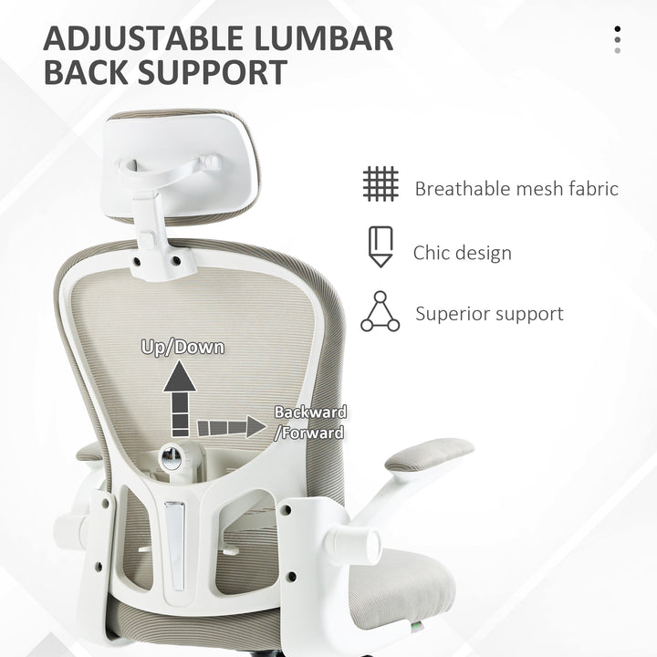 Vinsetto Office Chair, Mesh Computer Desk Chair with Adjustable Headrest, 4D Lumbar Support, Flip-up Arm, Grey