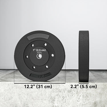 Soozier Weight Plates Set of 2, 1-Inch Barbell Weight Set for Home Gym Strength Training and Weightlifting, 2 x 22 lbs