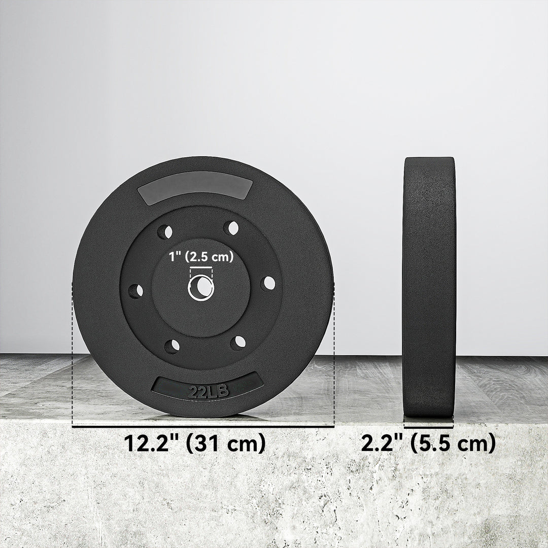 Soozier Weight Plates Set of 2, 1-Inch Barbell Weight Set for Home Gym Strength Training and Weightlifting, 2 x 22 lbs