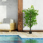 HOMCOM 4.5ft Ficus Artificial Plant with Realistic Leaves, Potted Fake Tree for Home Office Indoor Decor, Green