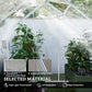 Outsunny 6' x 6' Walk-In Greenhouse, Polycarbonate Greenhouse with Sliding Door, Window, Aluminium Frame, Foundation, Silver