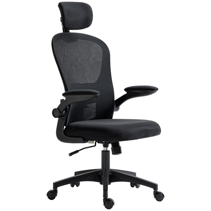 Vinsetto Office Chair, Mesh Computer Desk Chair with Adjustable Headrest, 4D Lumbar Support, Flip-up Arm, Grey